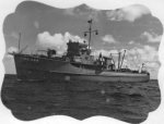 YMS-389