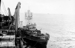 YMS-396