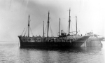 W. F. Babcock